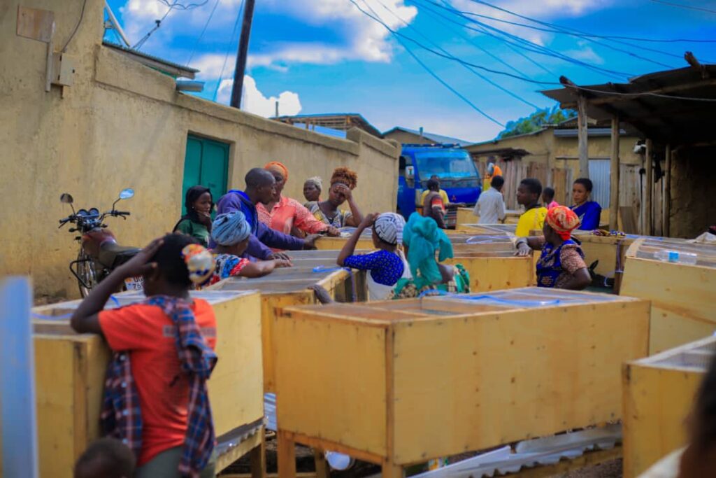 Empowering Women Through Rabbit Farming in Kyaka 2 Refugee Settlement